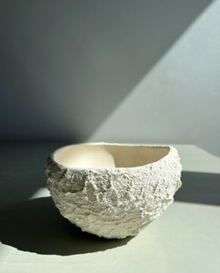 Bowl 0481