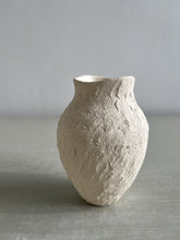 Load image into Gallery viewer, Vessel 3052