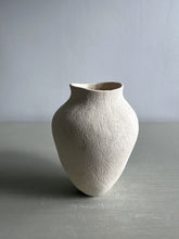 Load image into Gallery viewer, Vessel 4273