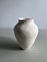 Load image into Gallery viewer, Vessel 4273