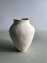 Load image into Gallery viewer, Vessel 4273