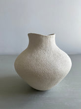 Load image into Gallery viewer, Vessel 7319
